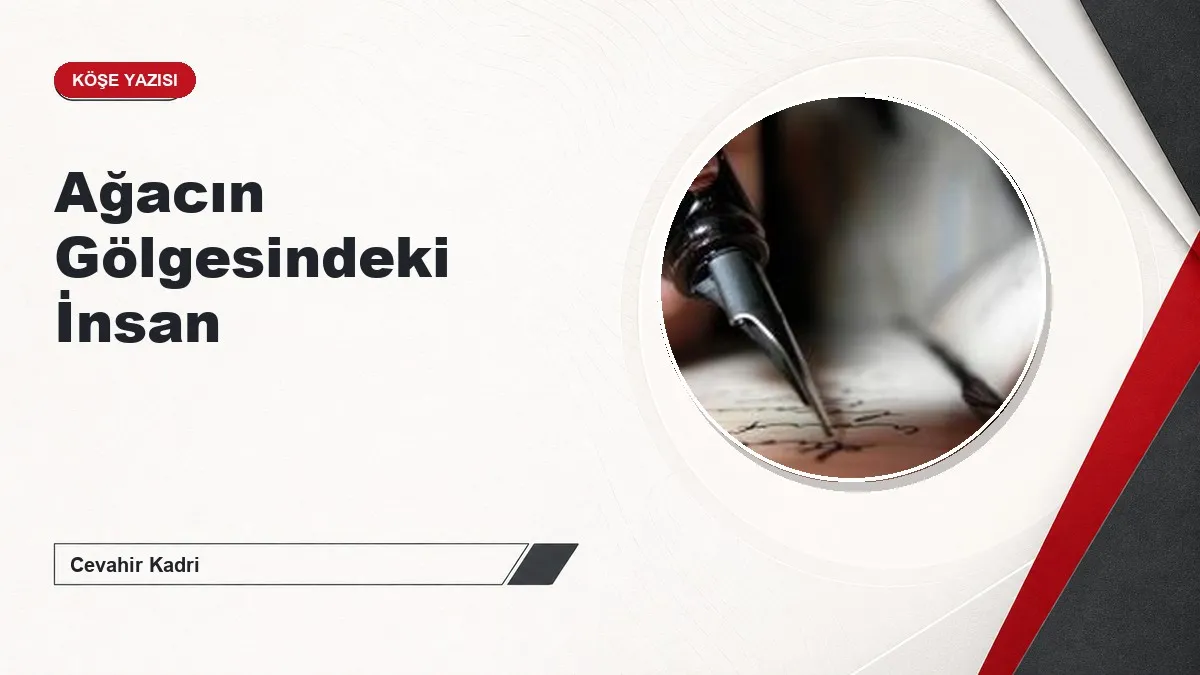Ağacın Gölgesindeki İnsan