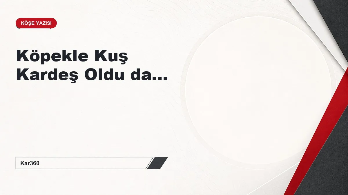 Köpekle Kuş Kardeş Oldu da...