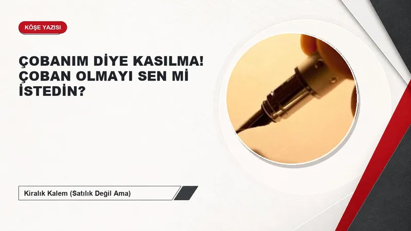 ÇOBANIM DİYE KASILMA! ÇOBAN OLMAYI SEN Mİ İSTEDİN?