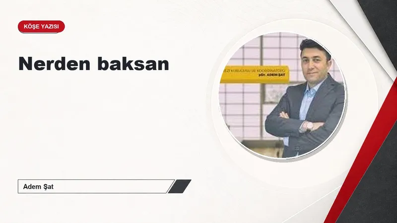 Nerden baksan
