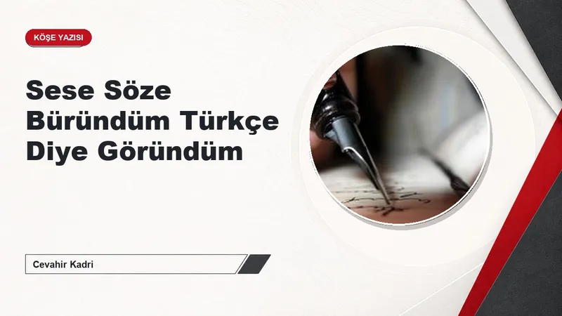 Sese Söze Büründüm Türkçe Diye Göründüm