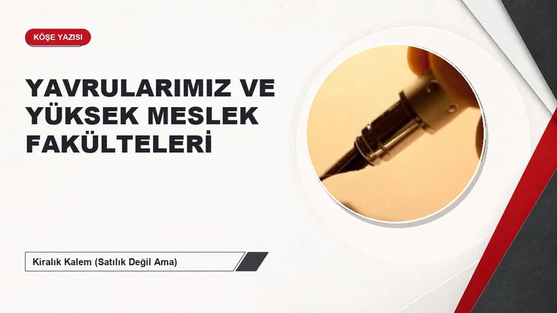 YAVRULARIMIZ VE YÜKSEK MESLEK FAKÜLTELERİ